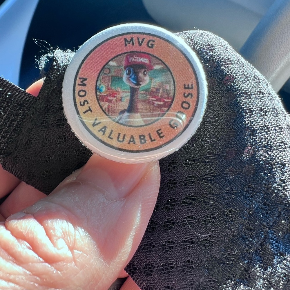 RARE MVG Most Valuable Goose Pin WAWA Rare Pin NEW🦆